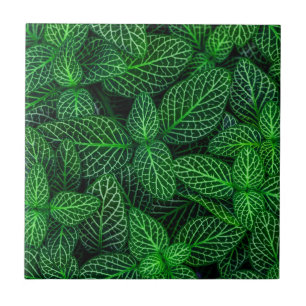 Very Green Leaf Pattern Ceramic Tile
