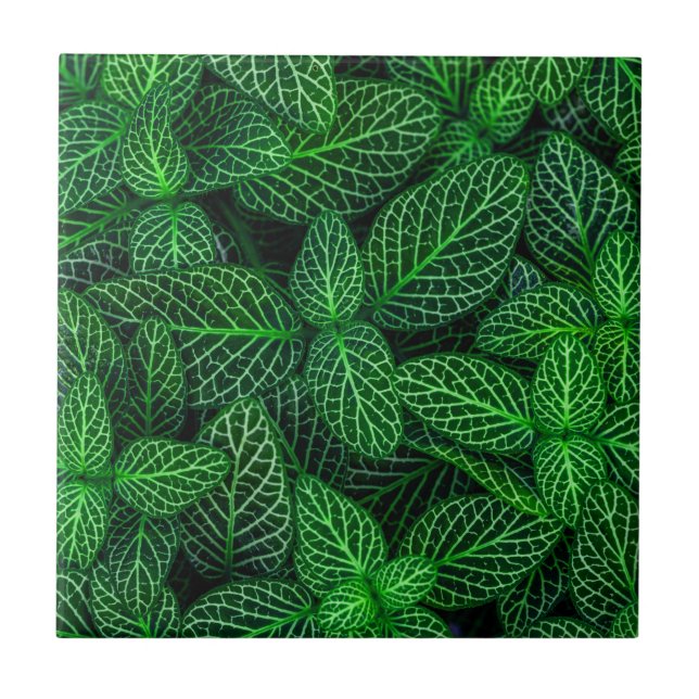 Very Green Leaf Pattern Ceramic Tile (Front)