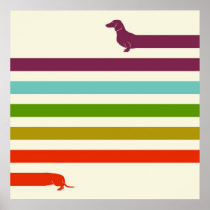 Very Long Dachshund Colourful   Husky Lover  Poster
