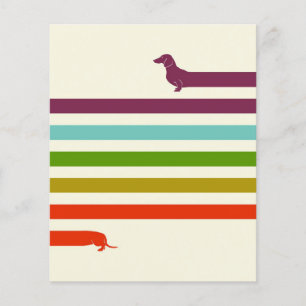 (Very) Long Dachshund Flyer