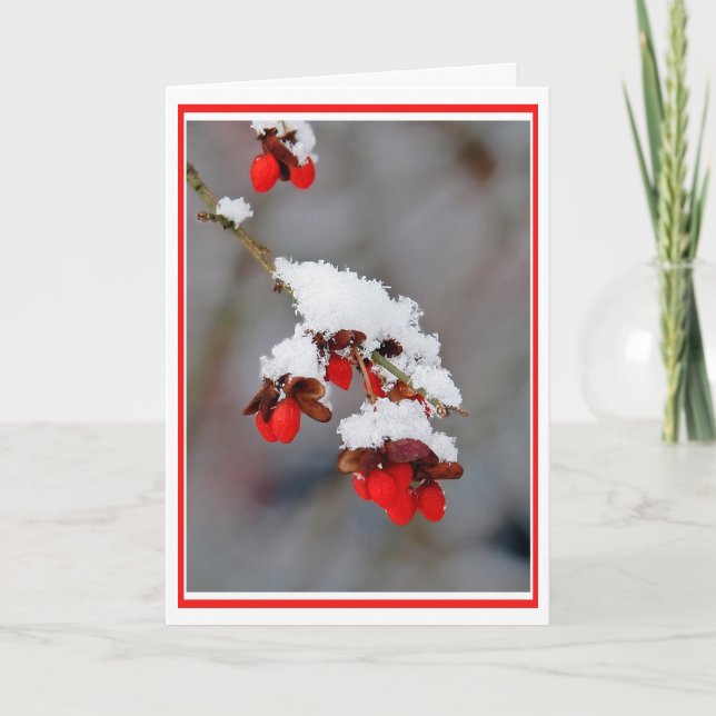 Very Merry Christmas Card (Front)