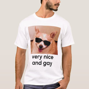 Very Nice And Gay Funny Dog Glasses Meme T-Shirt