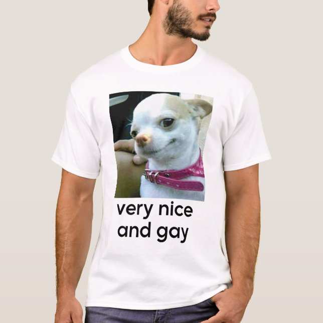 Very Nice And Gay Funny Dog Meme T-Shirt (Front)