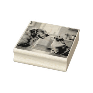 Very nice cat and dog design on rubber stamp