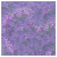 very-peri-pantone colour Pelargonium flowers