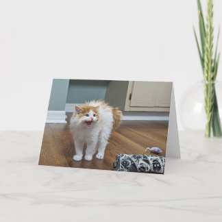 "Very Scary" - Dewey is all floofed up Card