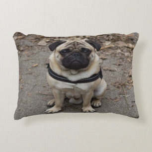 Very Serious Pug Decorative Cushion
