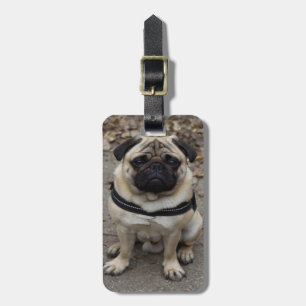 Very Serious Pug Luggage Tag