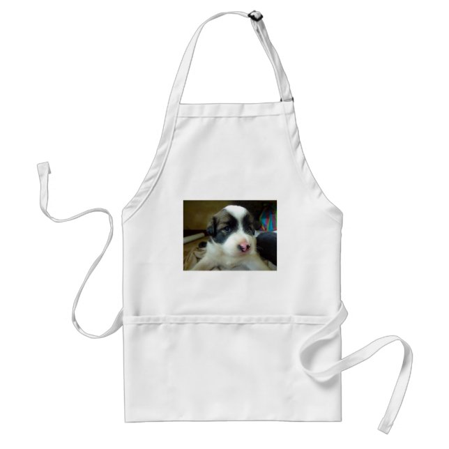 Very Young Puppy Looking Cute Standard Apron (Front)