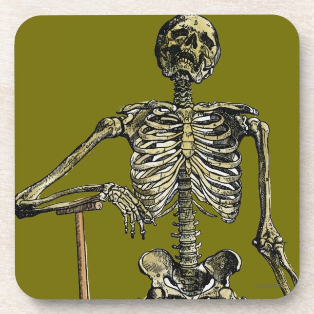 Vesalius: Skeletal System Coaster (Front)