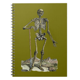 Vesalius: Skeletal System Notebook