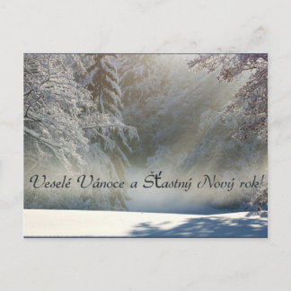 Veselé Vánoce a Šťastný Nový rok! Post Card