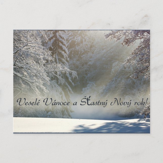 Veselé Vánoce a Šťastný Nový rok! Post Card (Front)