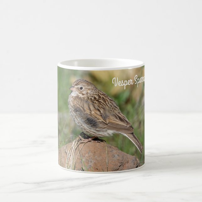 Vesper Sparrow Coffee Mug (Center)
