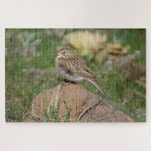 Vesper Sparrow Jigsaw Puzzle