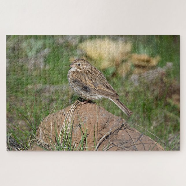 Vesper Sparrow Jigsaw Puzzle (Horizontal)