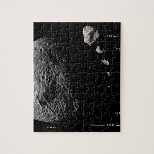Vesta and Asteroid Gallery Jigsaw Puzzle (Vertical)