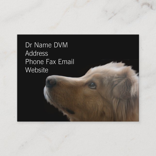 Vet Business Card II (Front)
