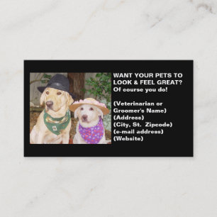 Vet or Groomer's Profile Card