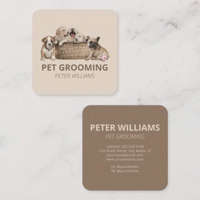 Vet Pet Grooming Pet Sitter Square Business Card (Front/Back)