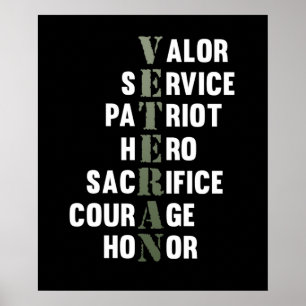 Veteran Facts Happy Veterans Day Support Graphic Poster