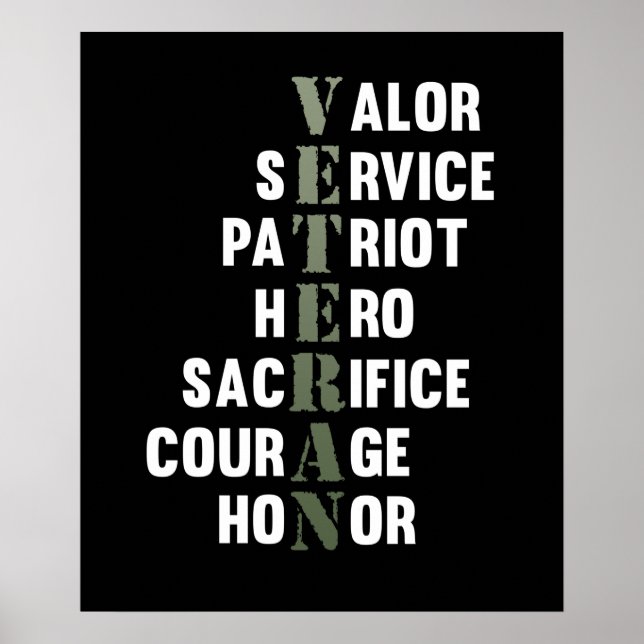 Veteran Facts Happy Veterans Day Support Graphic Poster (Front)