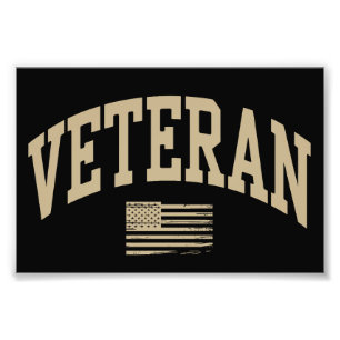 Veteran Veterans Day USA United States American Photo Print