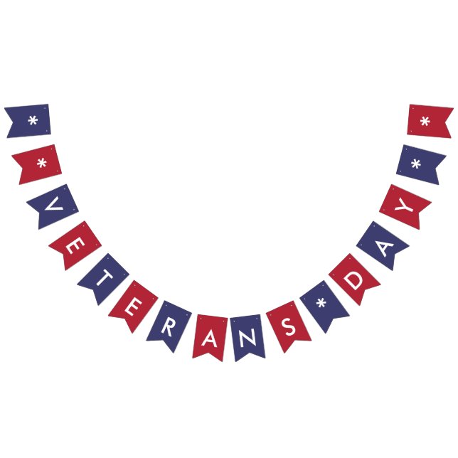 Veterans Day Typography American Flag Colours (All)