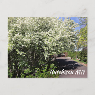 Veterans Memorial Park Hutchinson MN postcard
