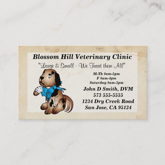 Veterinarian Business Card (Front)