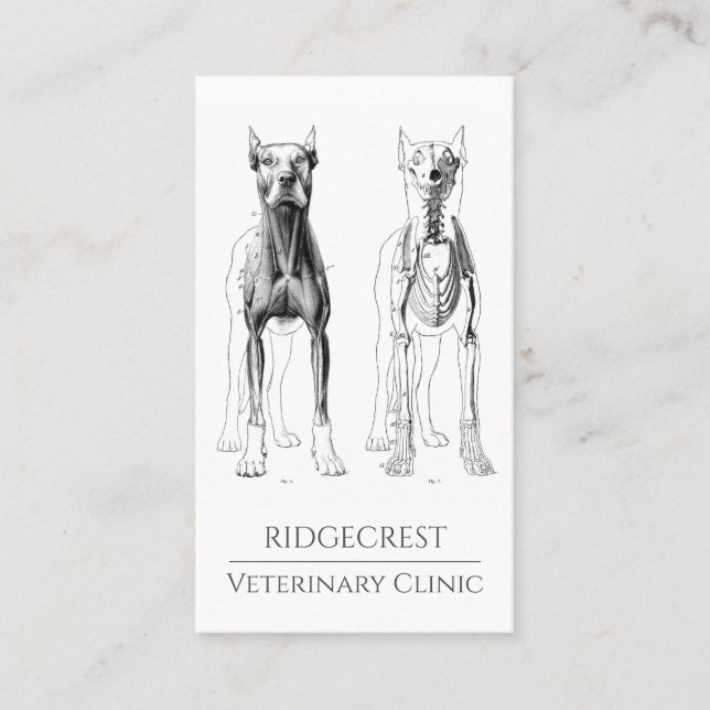 Veterinarian Business Card (Front)