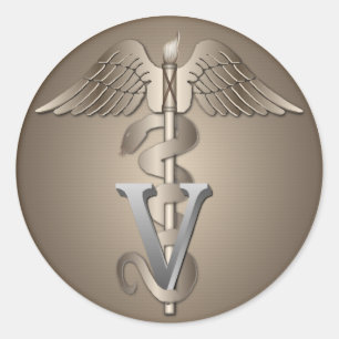 Veterinarian Caduceus Classic Round Sticker
