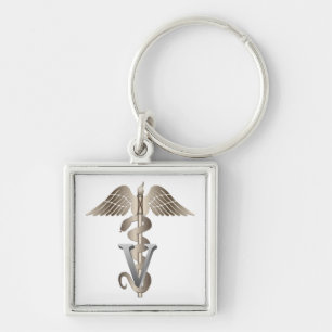Veterinarian Caduceus Key Ring