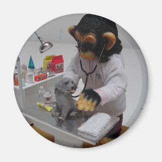 Veterinarian Magnet