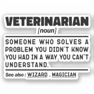 Veterinarian Noun Definition Veterinary Technician