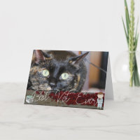 Veterinarian Thank You Custom Pet Photo Card