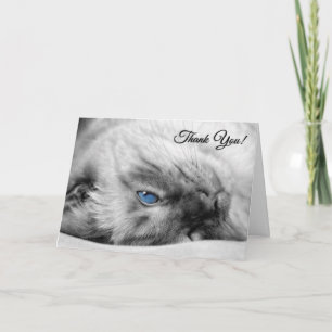 Veterinarian Thank You from the Cat Siamese Card