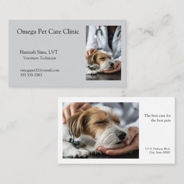 Veterinarian treats an ailing dog business card (Front/Back)