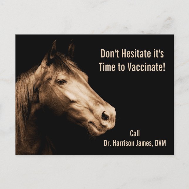 Veterinarian Vaccination Reminder for Horses Postcard (Front)