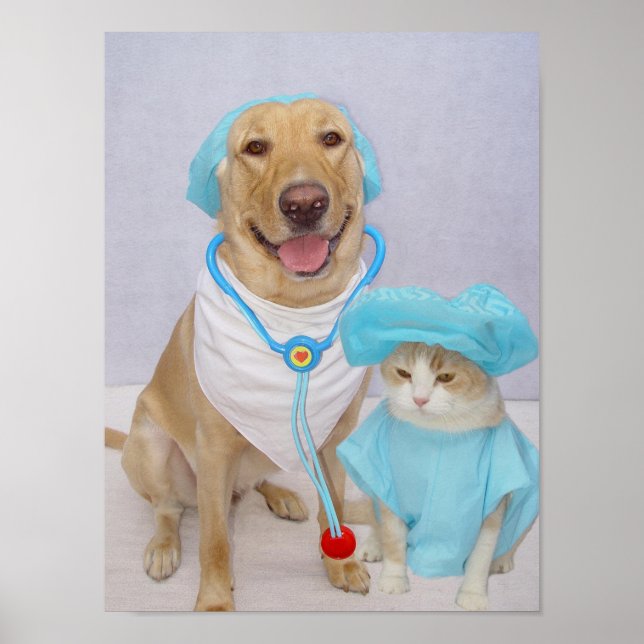 Veterinarian's Poster (Front)