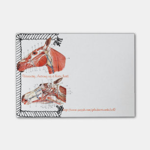 "Veterinary Anatomy of a horse head " Post-it Notes