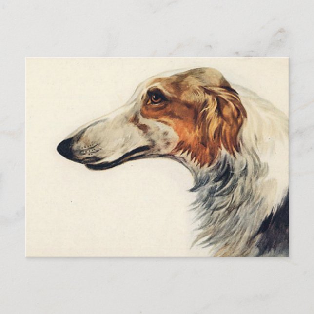 Veterinary Appointment Reminder Postcard (Front)