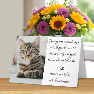 Veterinary Appreciation Pet Photo Veterinarian Thank You Card