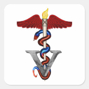 Veterinary Caduceus Square Sticker