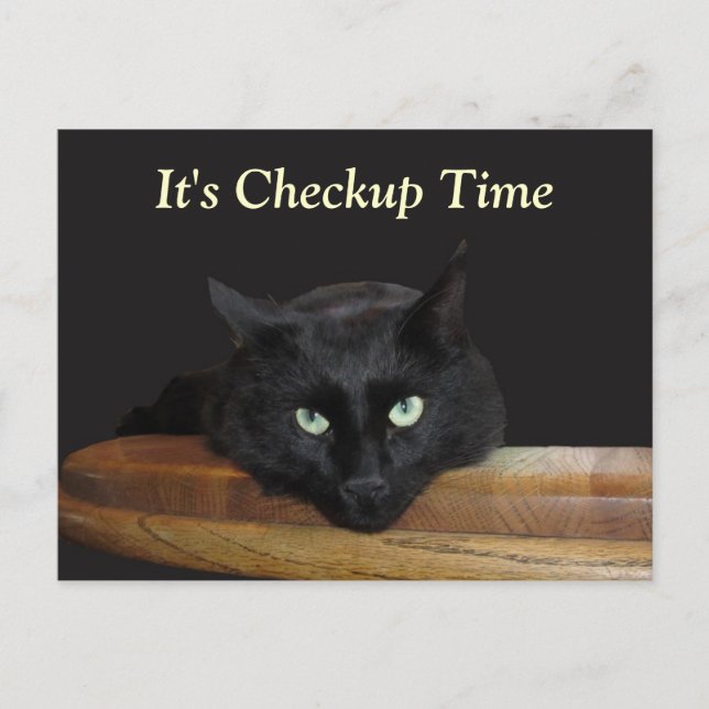Veterinary Checkup Funny Black Cat Postcard (Front)