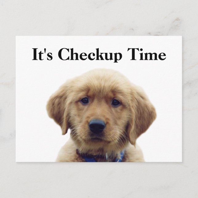 Veterinary Checkup Puppy Reminder Postcard (Front)