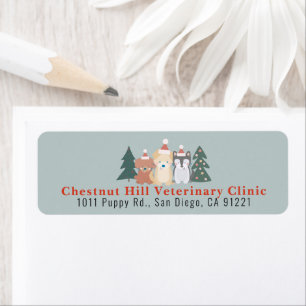 Veterinary Clinic Pet Business Christmas Address Return Address Label