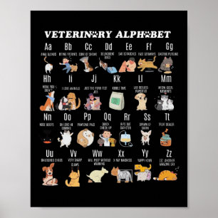 Veterinary Medicine Alphabet Vet Nurse Student Sch Poster
