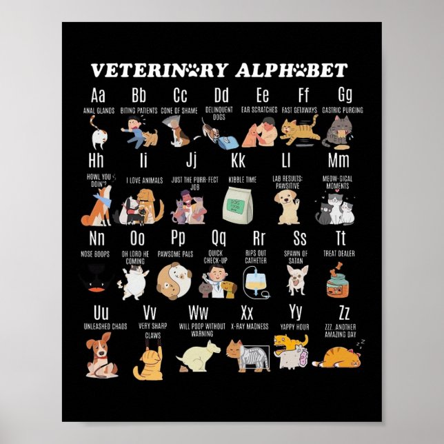 Veterinary Medicine Alphabet Vet Nurse Student Sch Poster (Front)