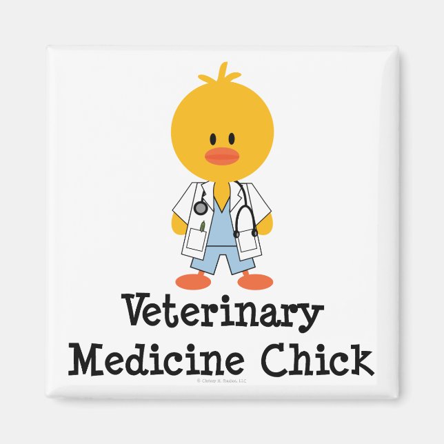 Veterinary Medicine Chick Magnet (Front)